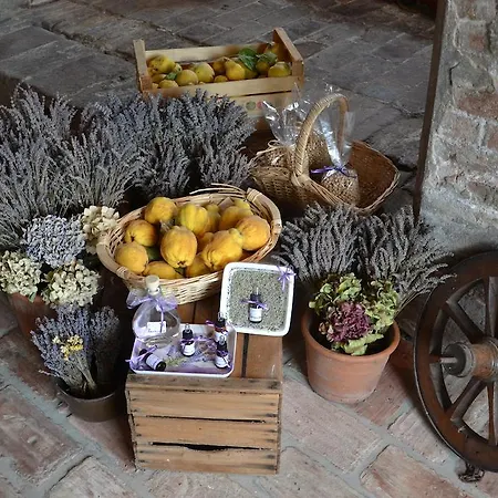 I Cipressi Farm stay Pianoro