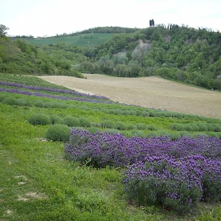 I Cipressi Farm stay